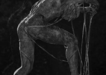 Simbióticos – A humanidade em cimento e folhas