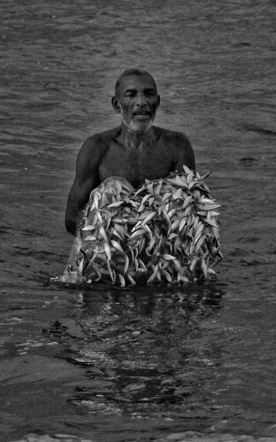 Trazendo o Mar à Mesa