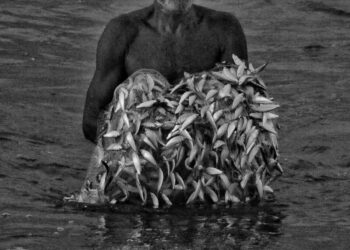 Trazendo o Mar à Mesa