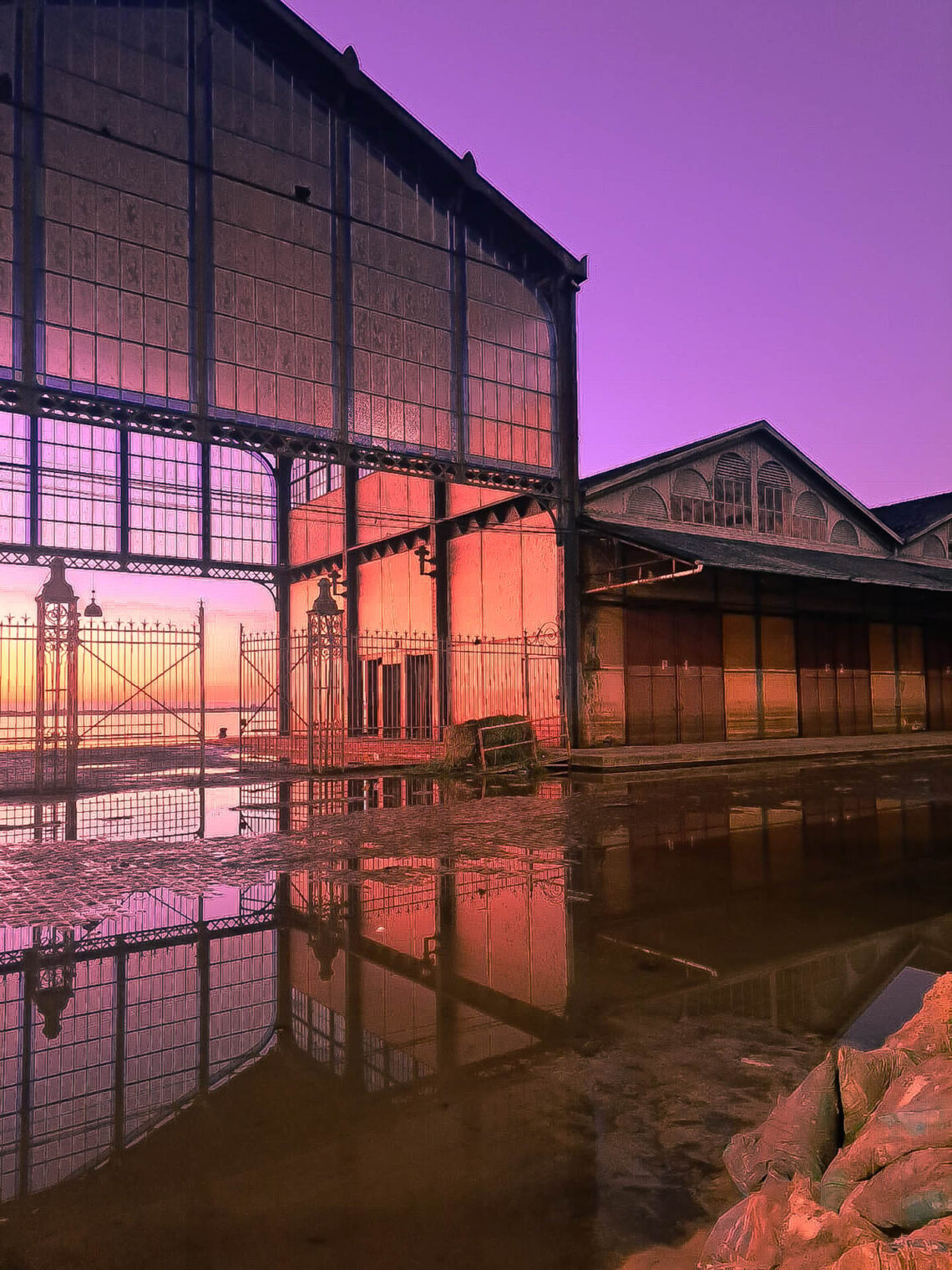 Há beleza na tragédia