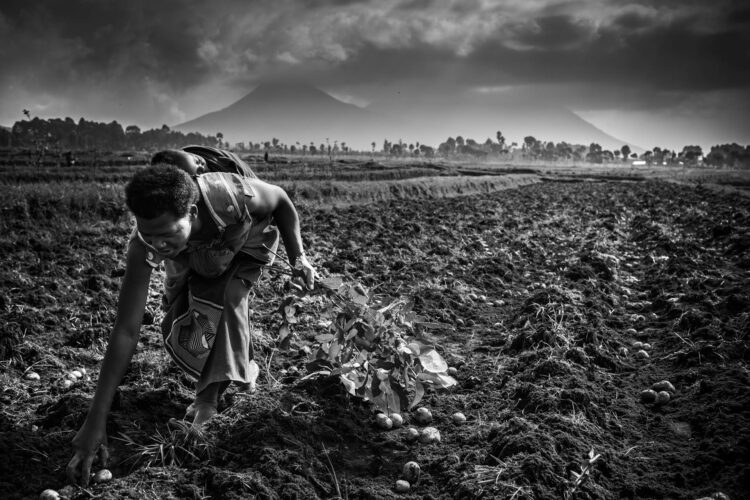 Foto de André François, convidado do Festival FotoDoc 2024