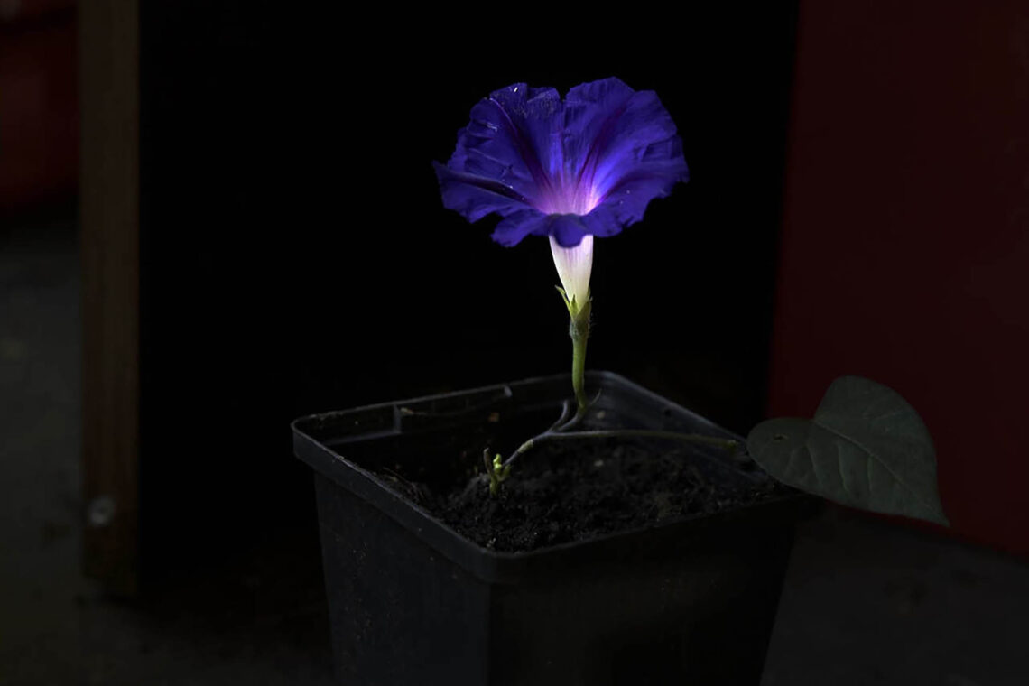 Festival FotoDoc 2024