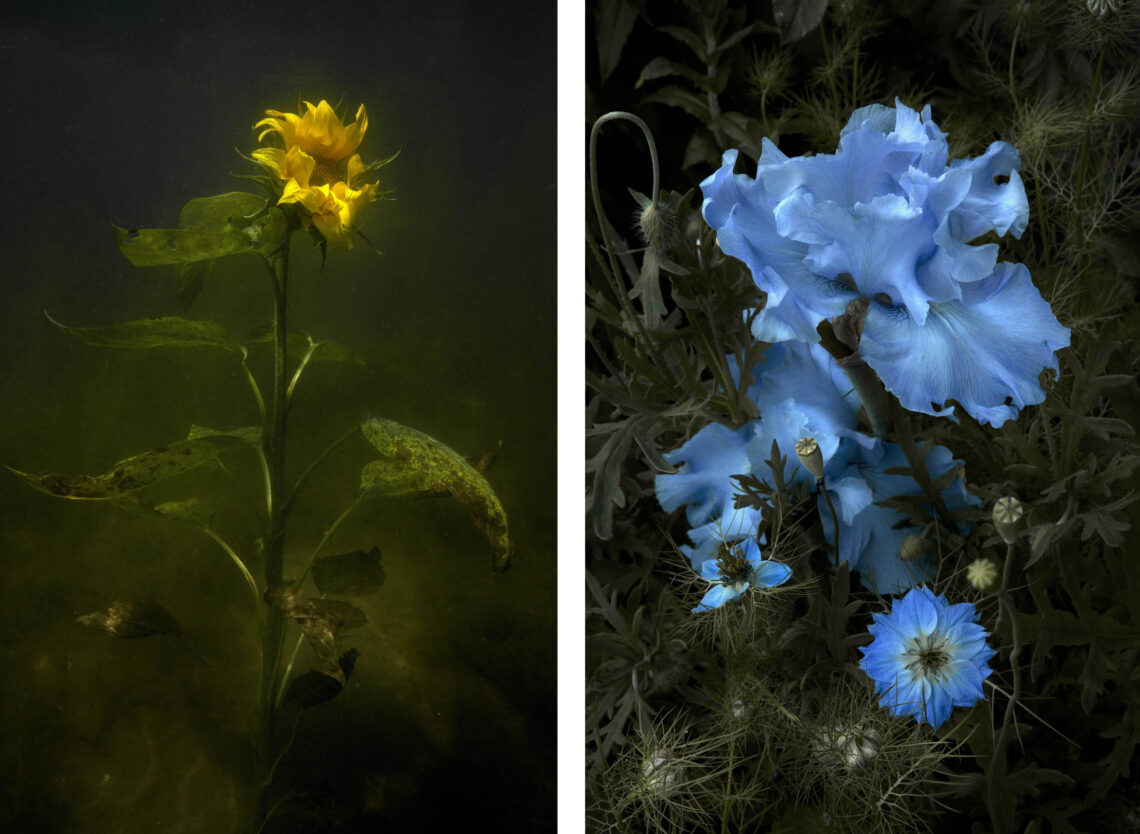 Festival FotoDoc 2024 revela seus convidados