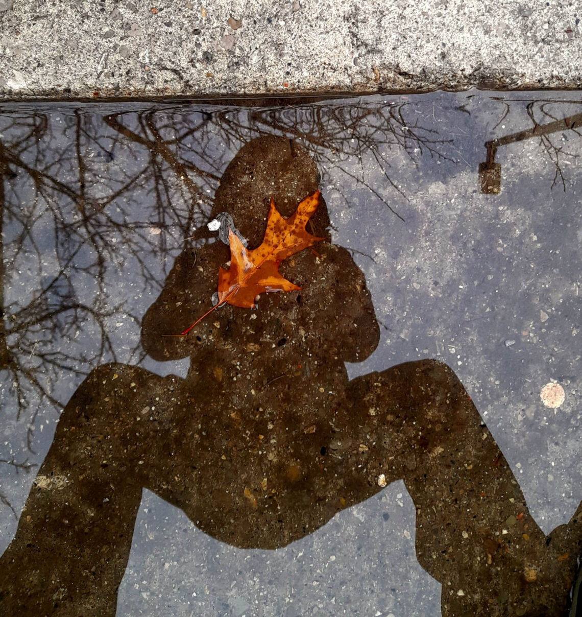 Autorretrato outonal