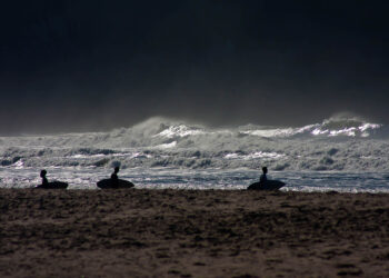 Primavera na Ilha de Santo Amaro