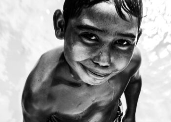 Os Olhares da Amazônia