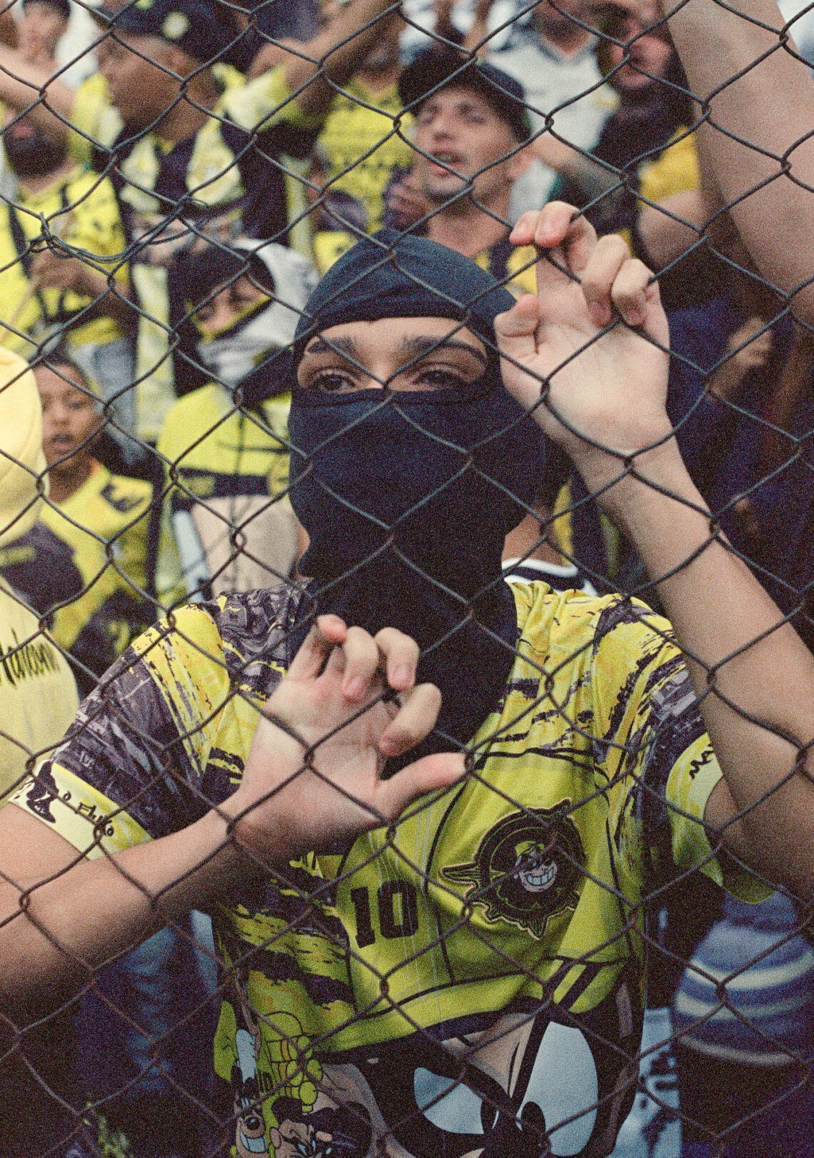 À Beira do Alambrado