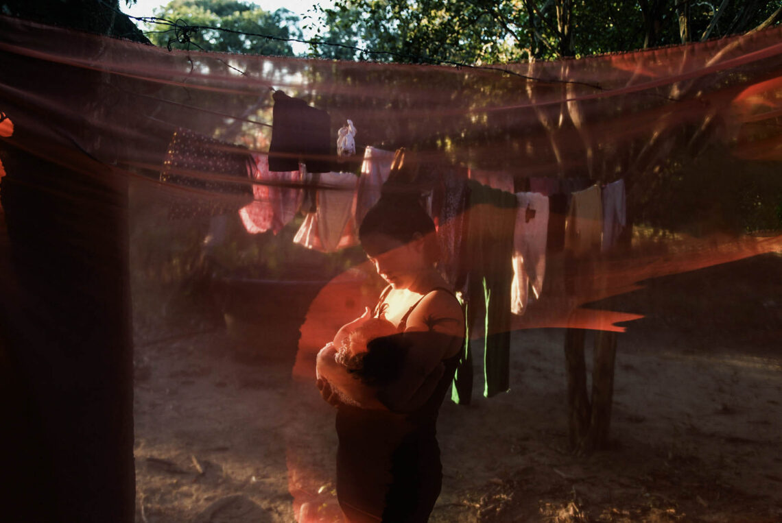 Sanctuarium Domesticum IX