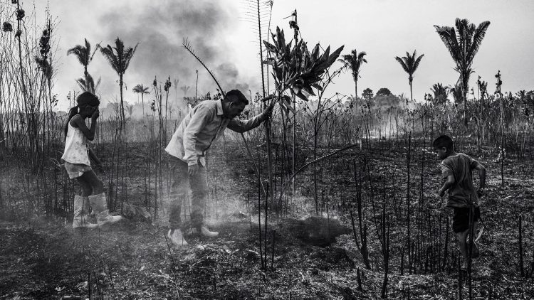 Lábrea, Amazonas. 20 de setembro de 2024 Enquanto caminhávamos em Lábrea com uma equipe só de mulheres, nos deparamos com um incêndio crescente, com crianças tentando ajudar o pai a apagá-lo. Esta foto foi tirada porque o mundo precisa saber o que está acontecendo na fronteira agrícola do Amazonas.