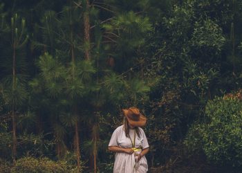 Força e Cura nas Águas: O Atendimento da Boiadeira Dona Maricota