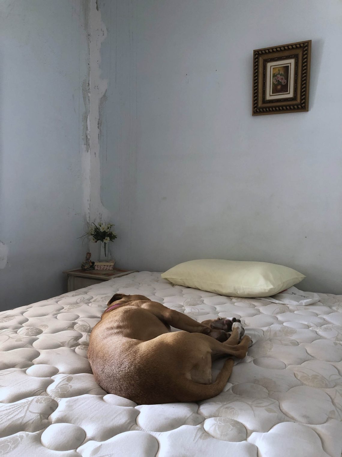 A casa que se constrói com pedras de abismo minucioso