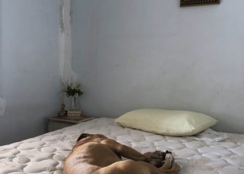 A casa que se constrói com pedras de abismo minucioso