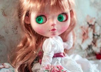 A curiosidade do gato