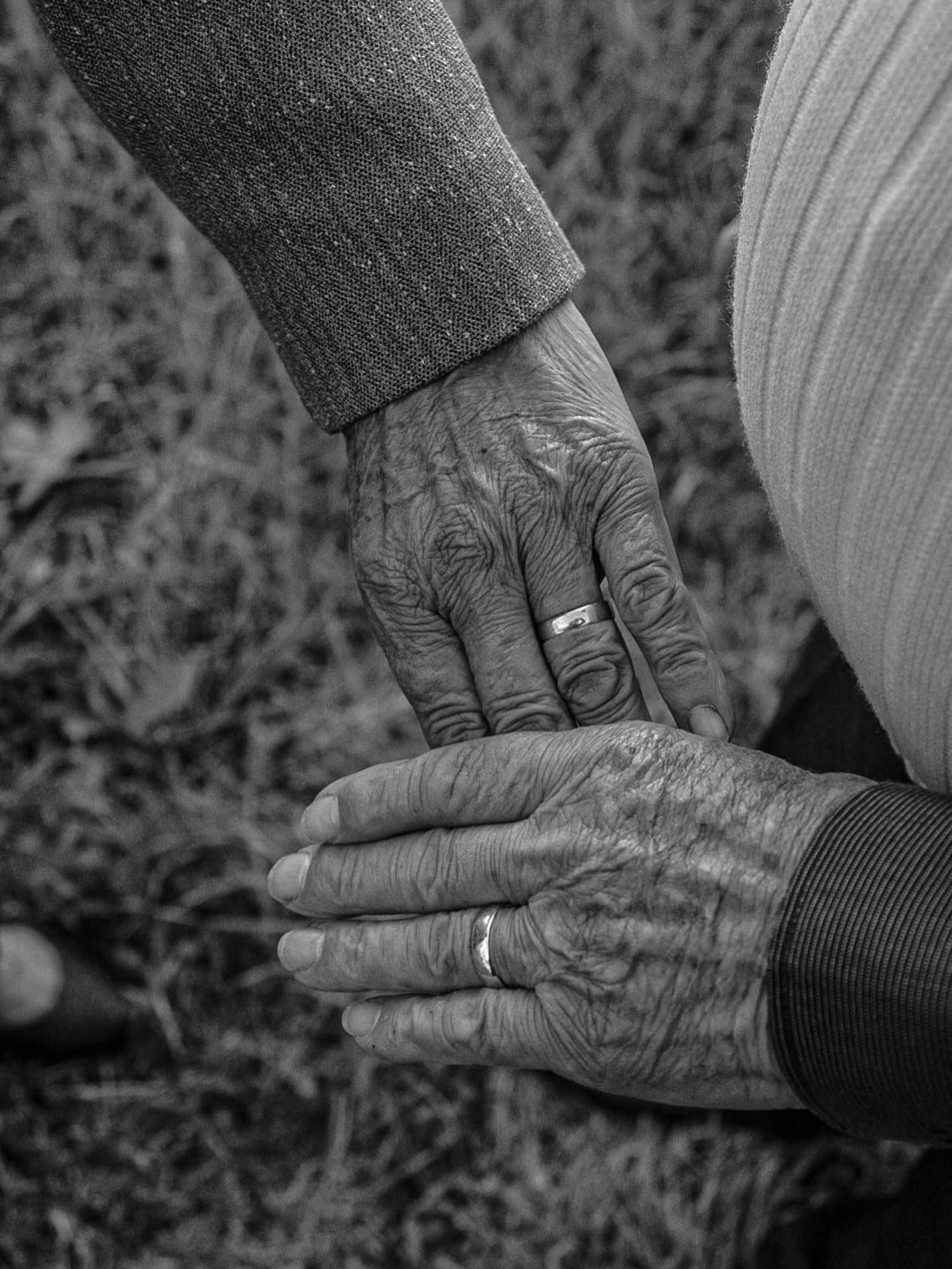 As Mãos que Contam Histórias