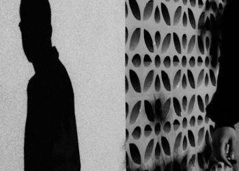 Fiel Escudeira Sombra