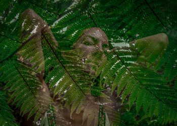 Manta Atlântica – Quando a Floresta Nos Abraça