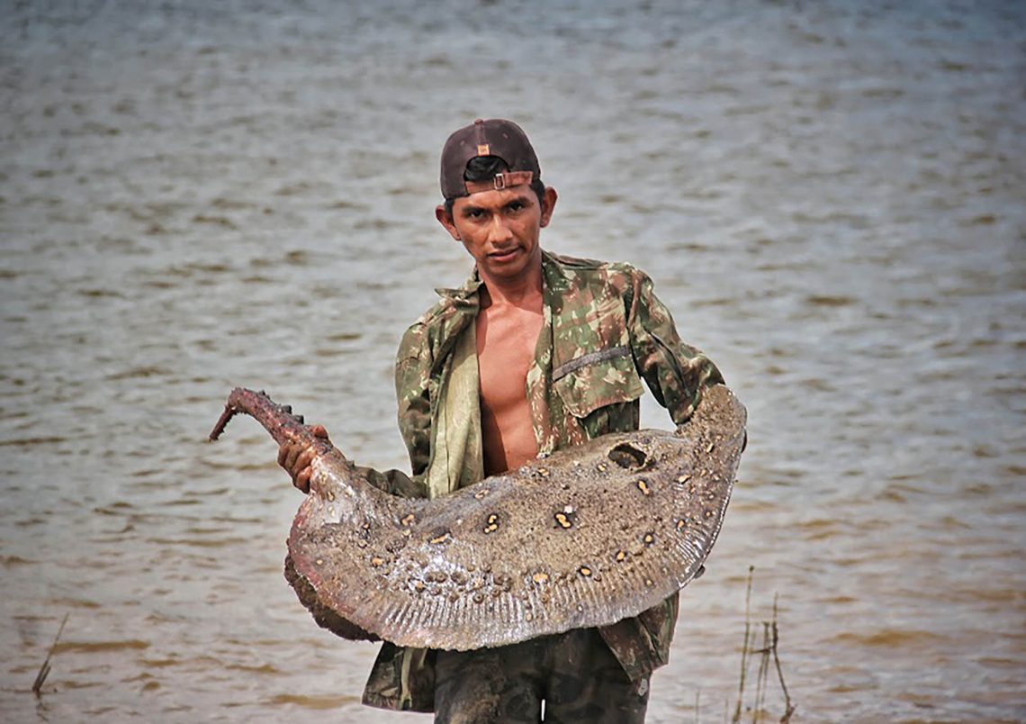O Pescador Amazônida