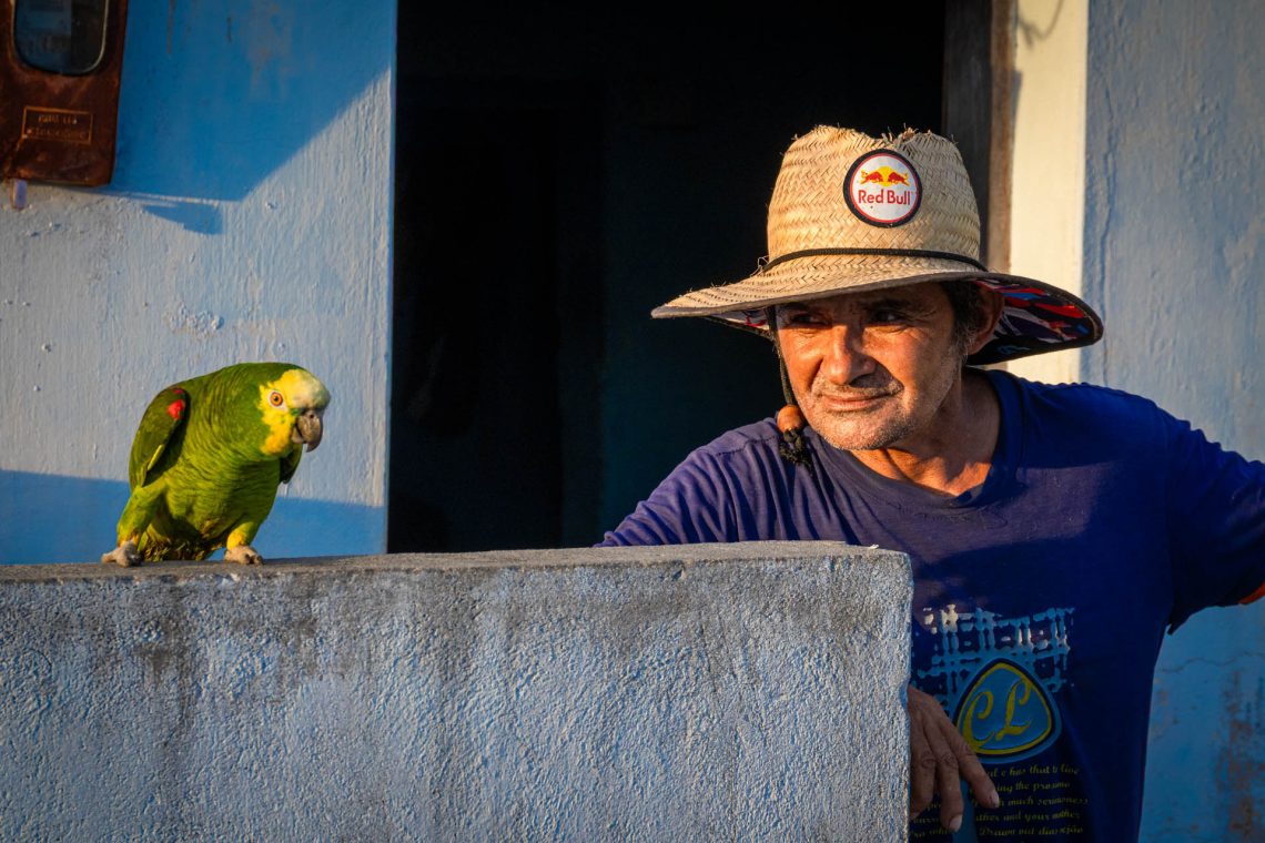 O Sertão que Vive em Mim