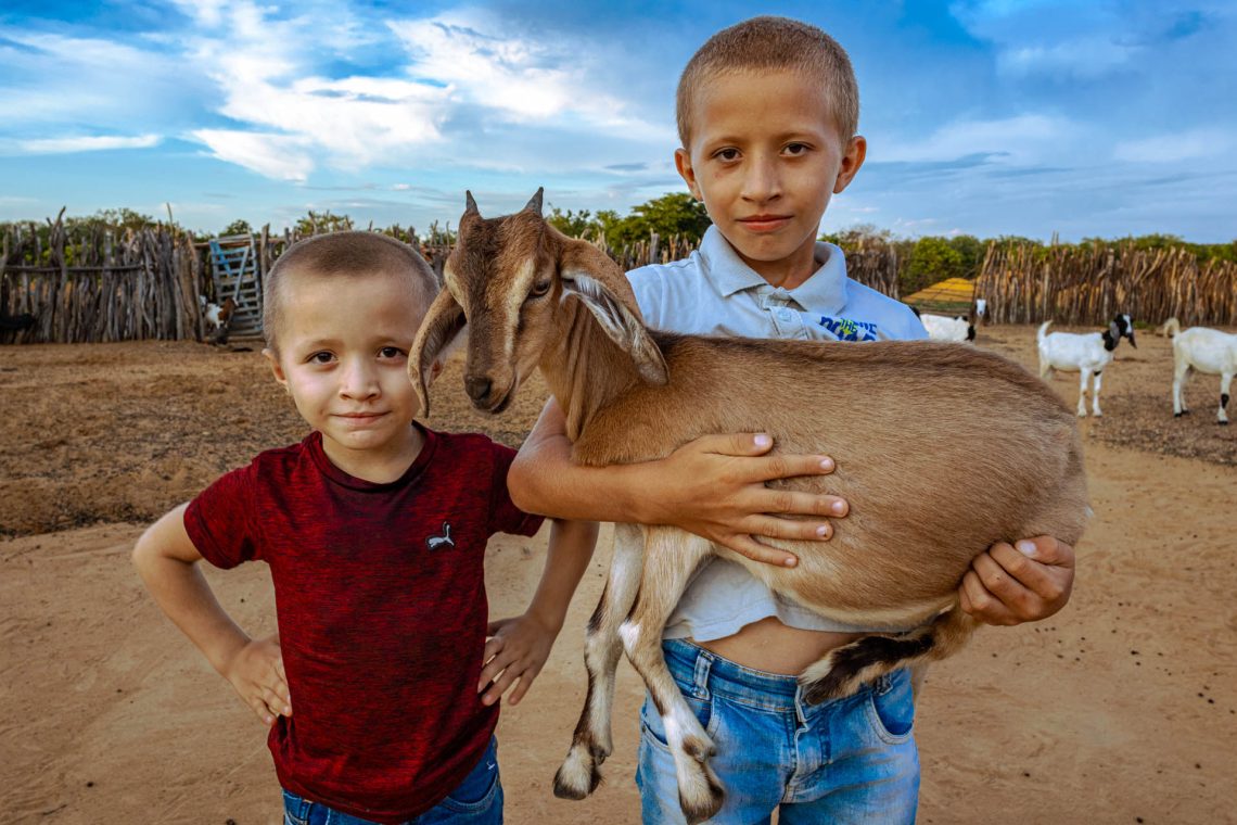 O Sertão que Vive em Mim