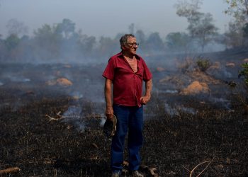 Cinzas e desolação