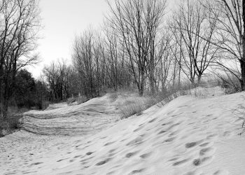 Encontros e Despedidas