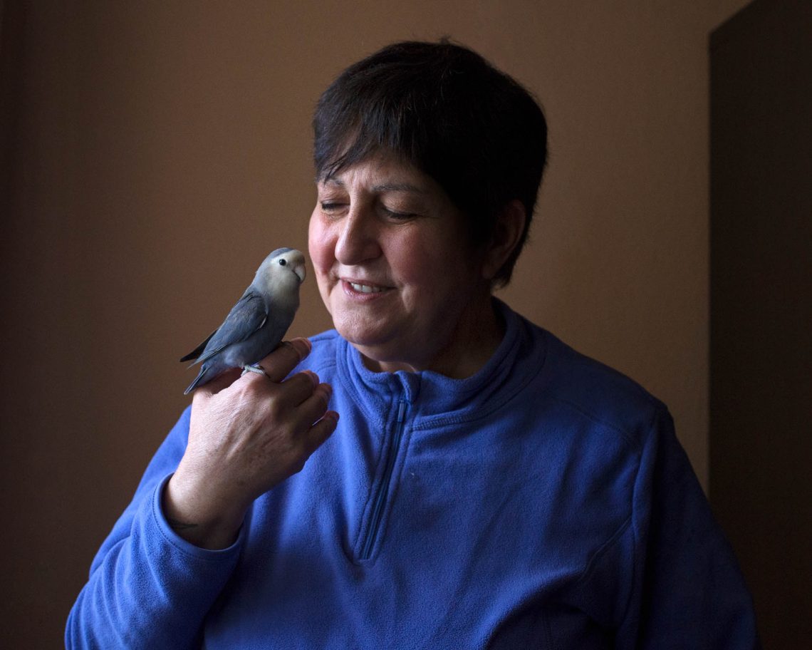 Quem Me Dera Ter Saído do Armário