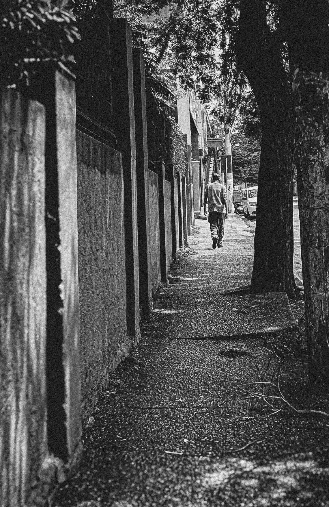 Ser Urbano – A Dança entre a Cria e o Criador