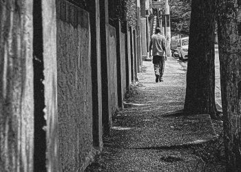 Ser Urbano – A Dança entre a Cria e o Criador