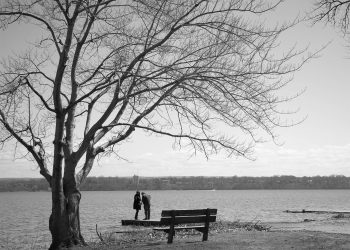 Encontros & Despedidas