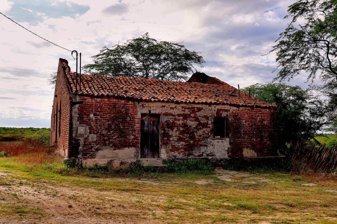 Moinho Silencioso: A memória de Palma e o açude que Virou Mato