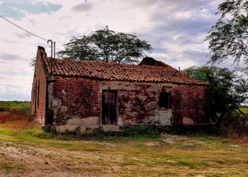 Moinho Silencioso: A memória de Palma e o açude que Virou Mato