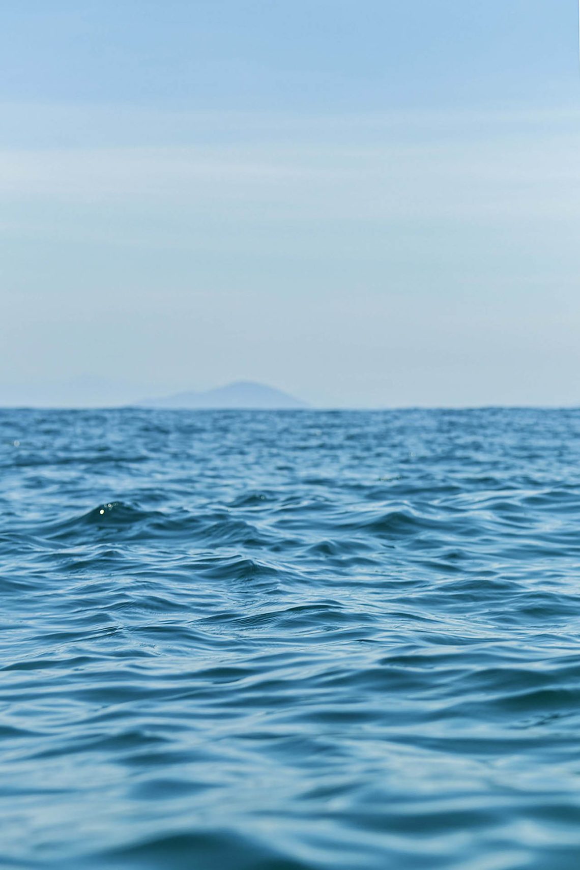 Como fomos capazes disso?