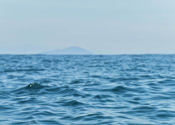 Como fomos capazes disso?