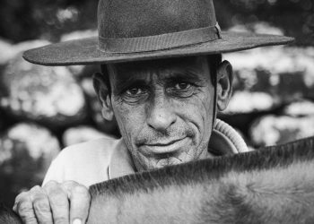 Pausa para o Palheiro