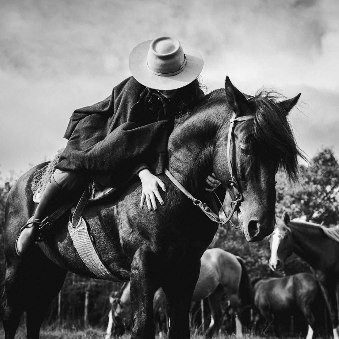 O amigo da lida do campo