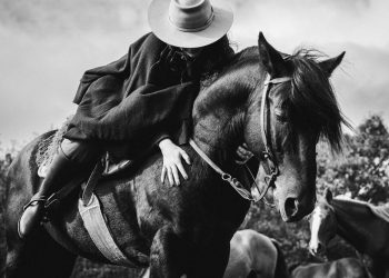 O amigo da lida do campo