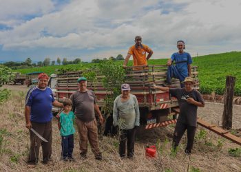 Historiando em Novo Barreiro