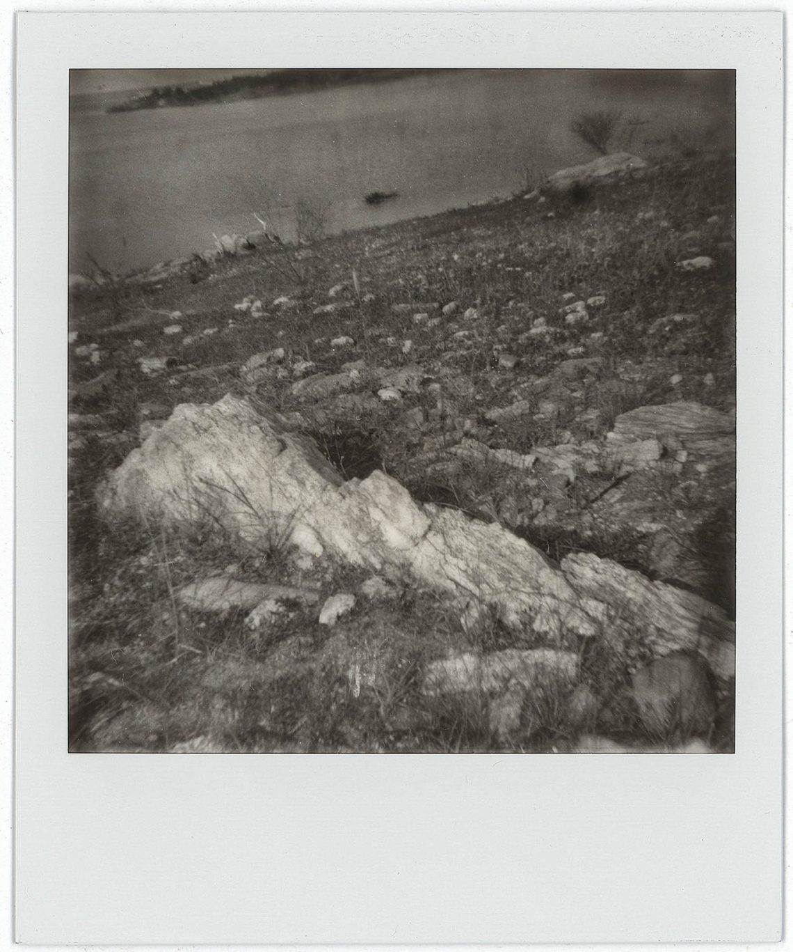 Polaroids do Deserto