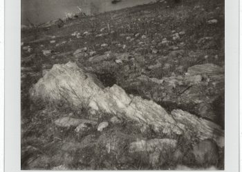 Polaroids do Deserto