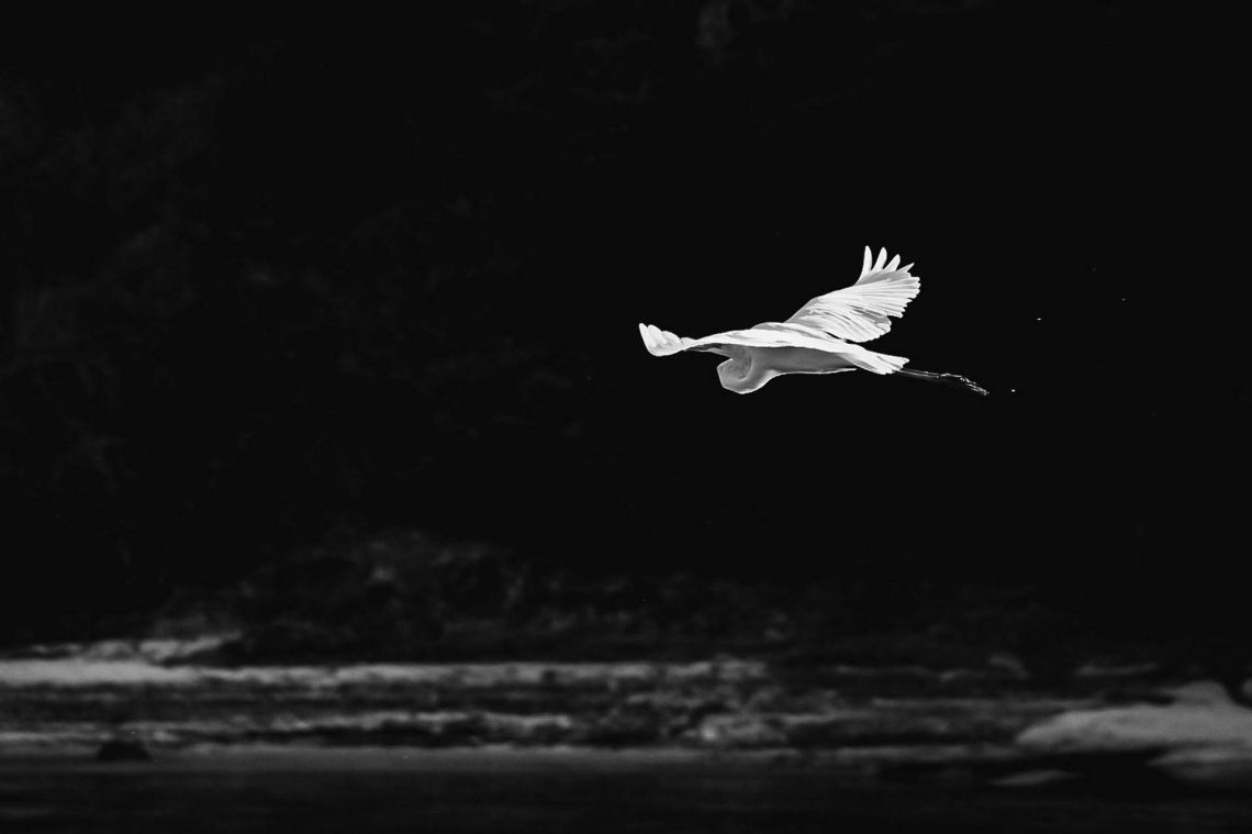 De baixo para Cima – De cima para Baixo