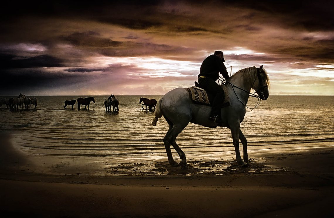 Cavalos Lusitanos na Laguna dos Patos