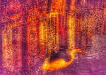 Somnium – como se fosse um sonho