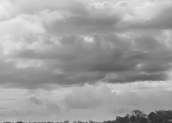 Horizontes de agora: a crise climática no Vale do Juruá