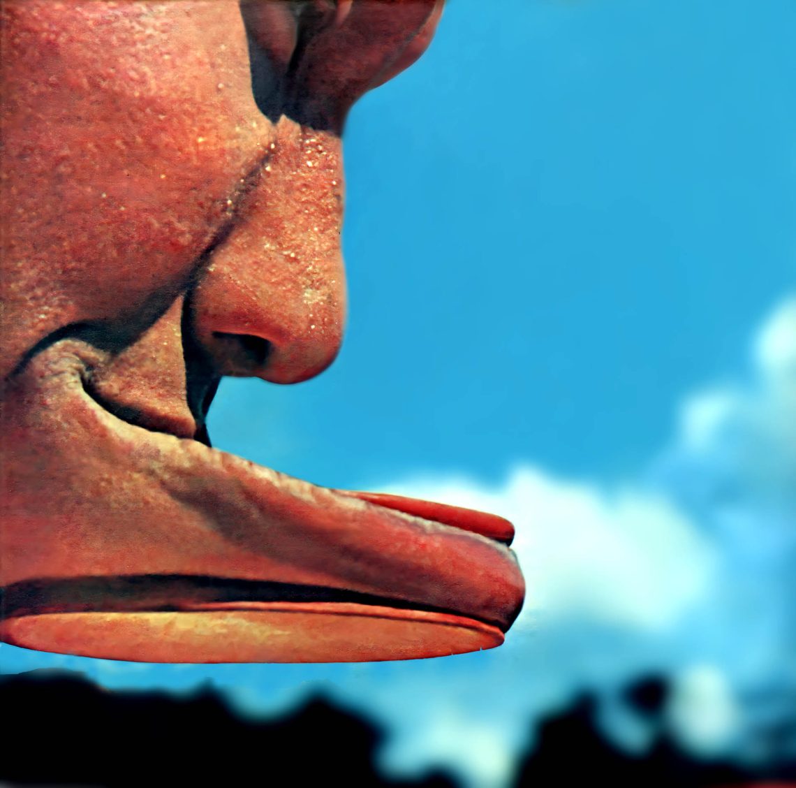 Índio Beiço de Pau