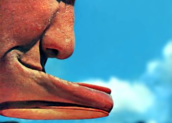 Índio Beiço de Pau