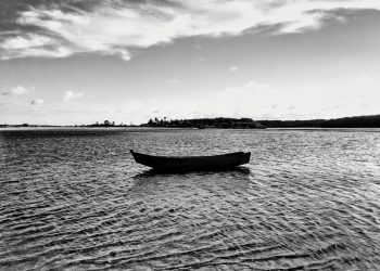 Entre sombras e marés