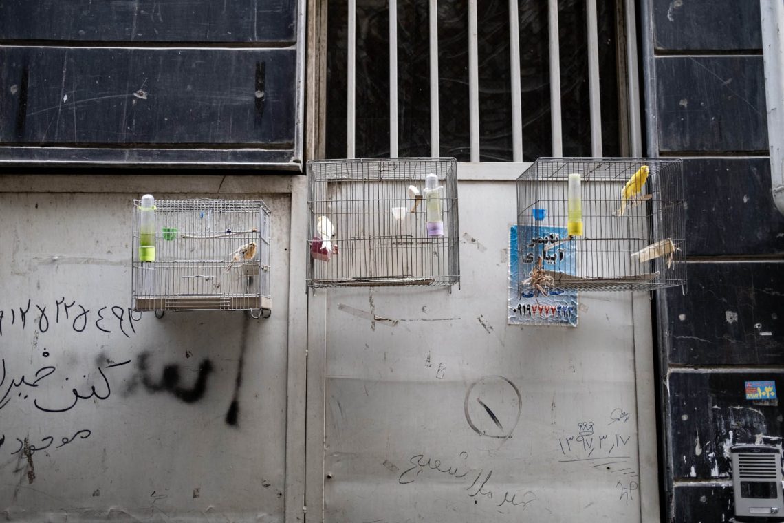 No Irã em busca de Zahhak