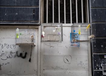 No Irã em busca de Zahhak