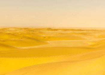 Cores (In) Visíveis