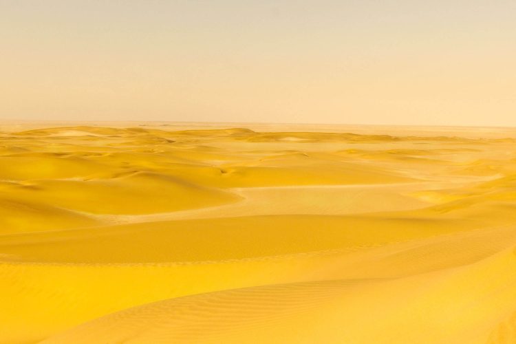 Ouro do Silêncio
O deserto, sem pressa nem sombra, revela a vastidão como promessa. A cor amarela vibra como um silêncio mineral, onde o tempo repousa.